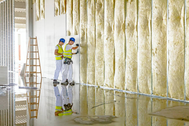Best Commercial Insulation in Blair, WI